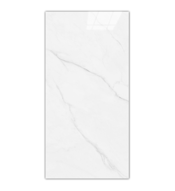 TOP FISH BELLY WHITE