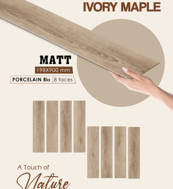 IVORY MAPLE