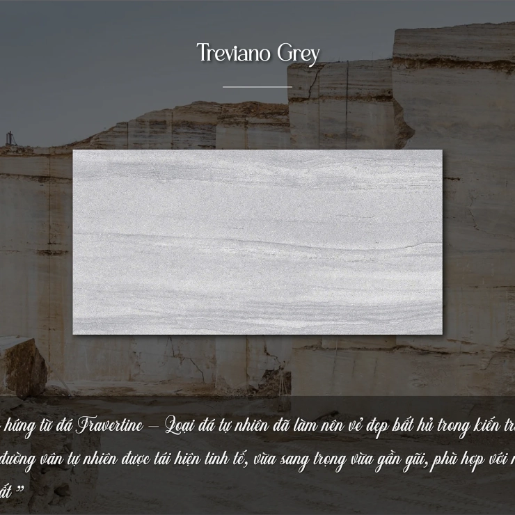 TREVIANO GREY 