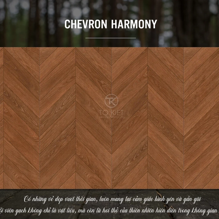 CHEVRON HARMONY