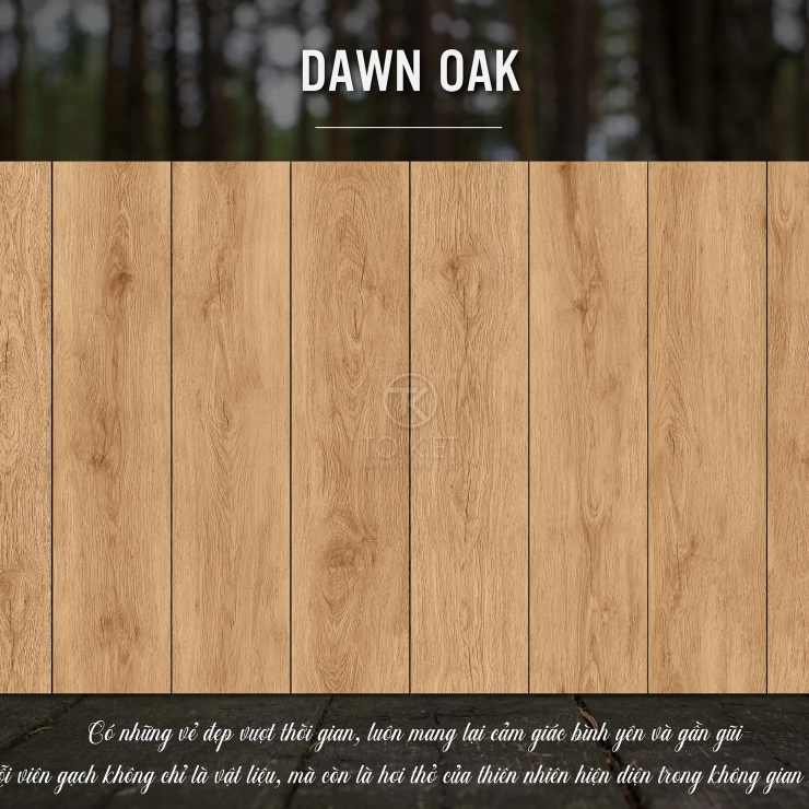 DAWN OAK