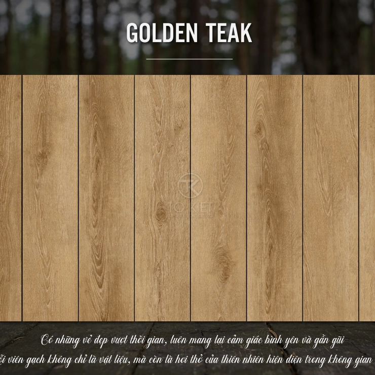 GOLDEN TEAK