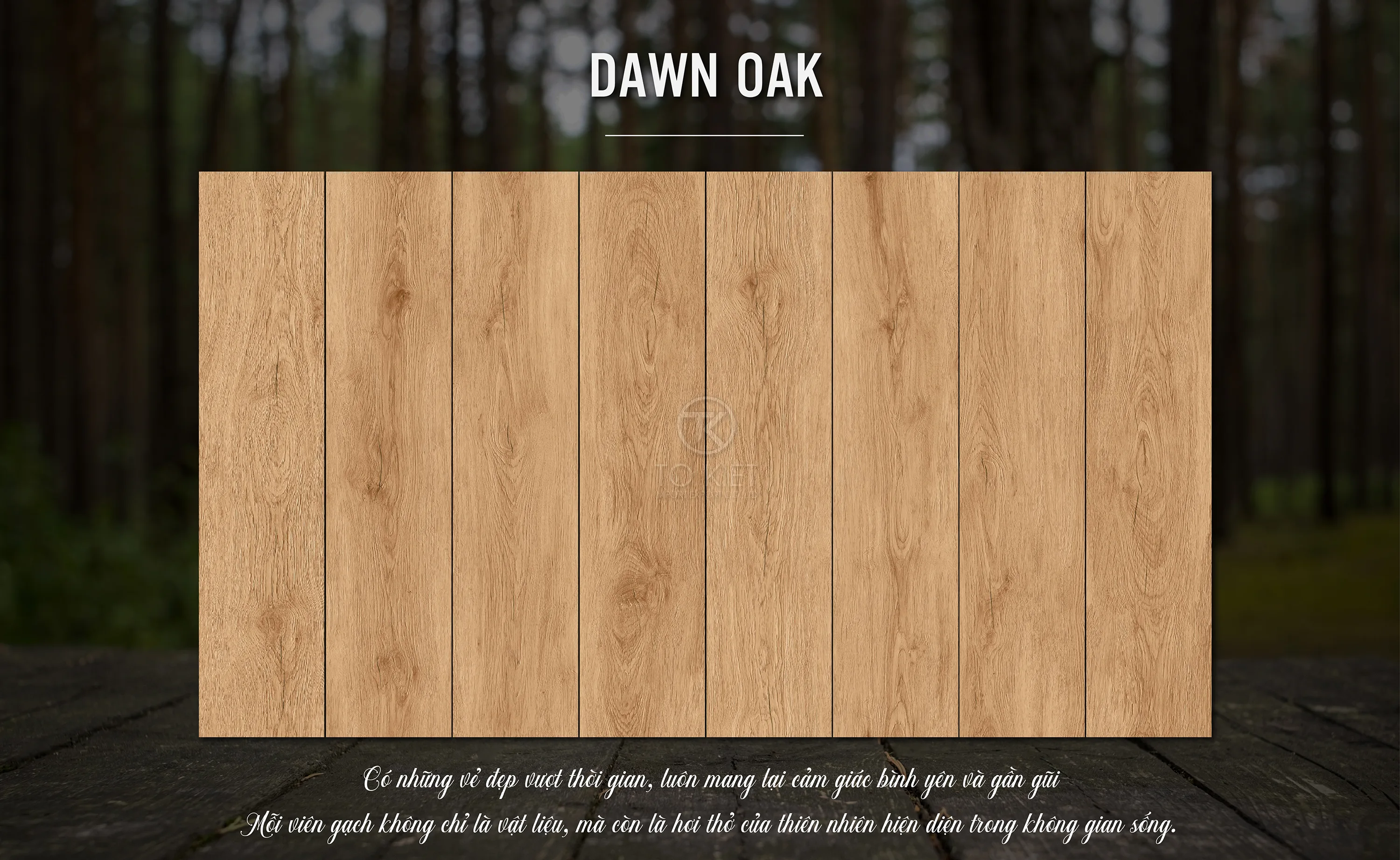 CÔNG TY TNHH XUẤT NHẬP KHẨU TÔ KIỆT